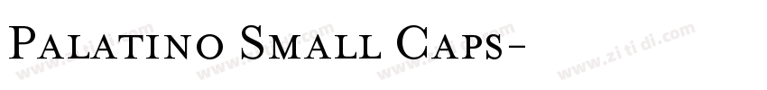 Palatino Small Caps字体转换
